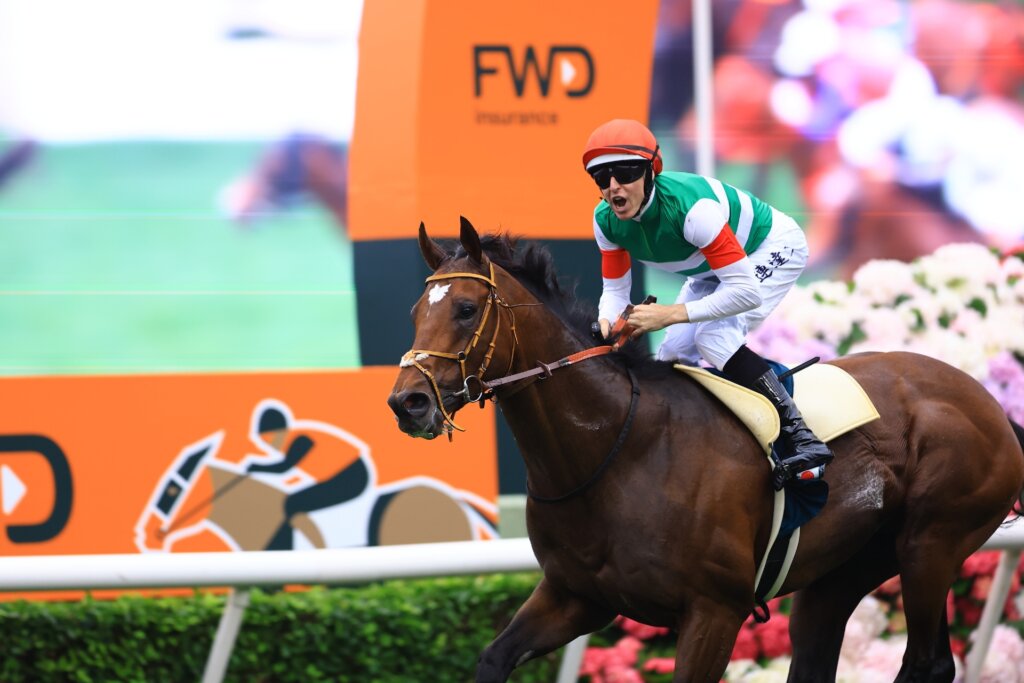 Tastiera and Damian Lane win the QEII Cup