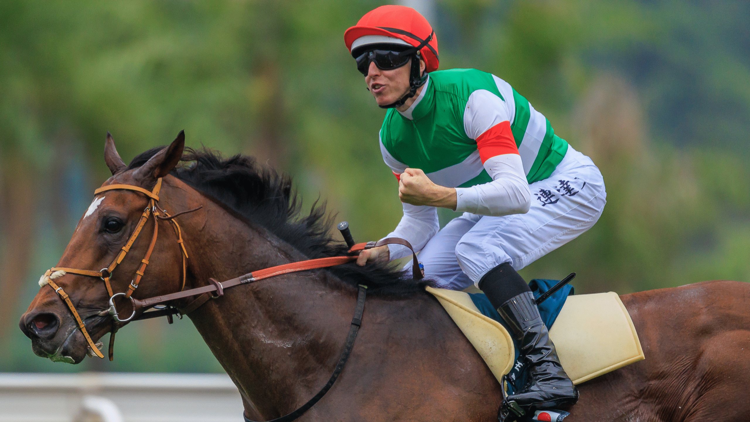 香港チャンピオンズデー: 各G1レースを現地から速報リポート