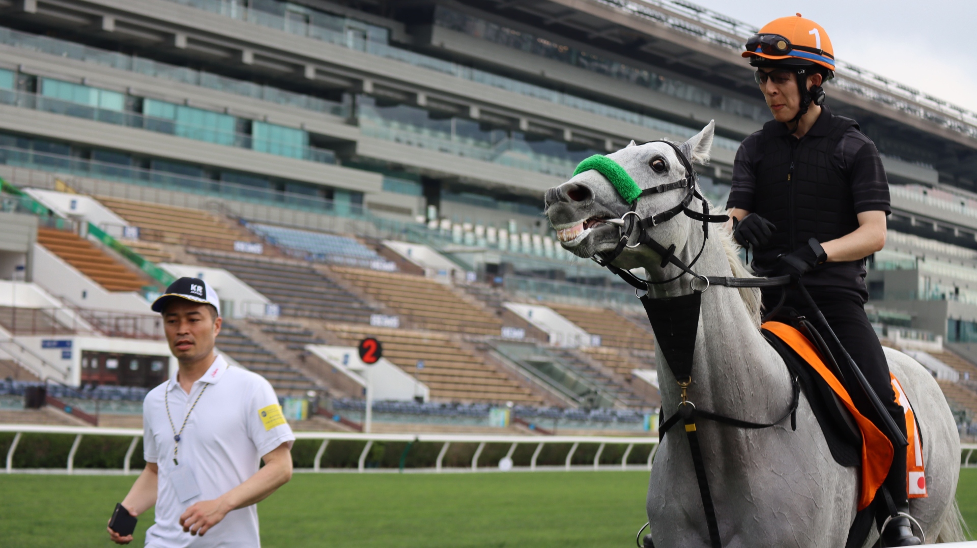 Gaia Force ahead of the 2025 G1 Champions Mile