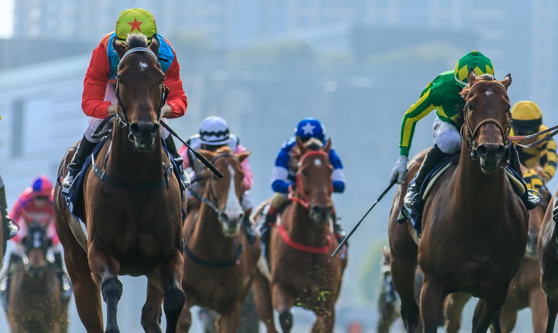香港プログラム2007年騎手招待＆香港国際競走（サイン入り）、騎手カード＆ガイド KYSatono.jpg