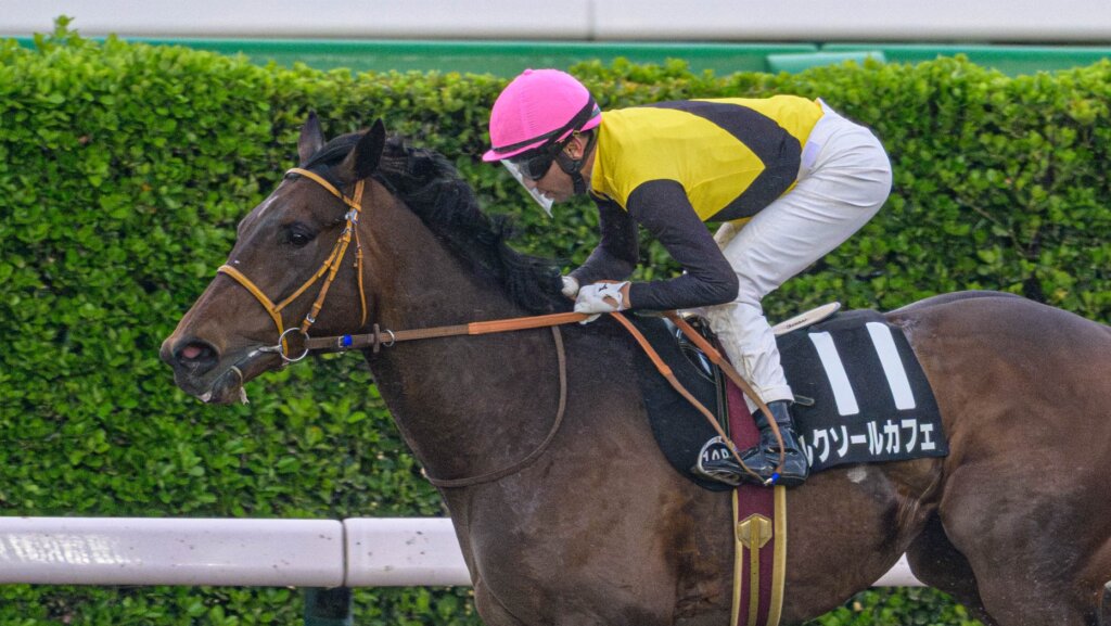 Luxor Cafe and Joao Moreira
