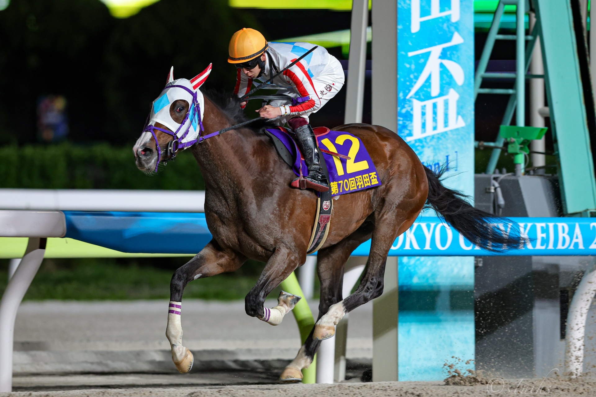 Natural Rise wins the Jpn1 Haneda Hai