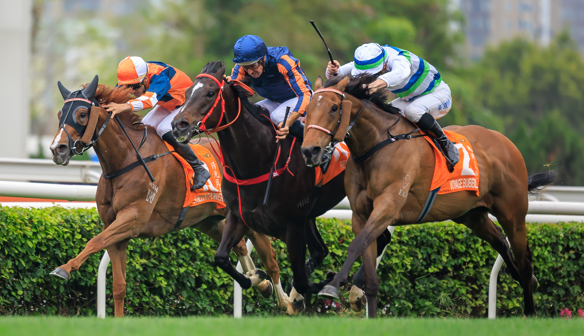 香港チャンピオンズデー: 各G1レースを現地から速報リポート