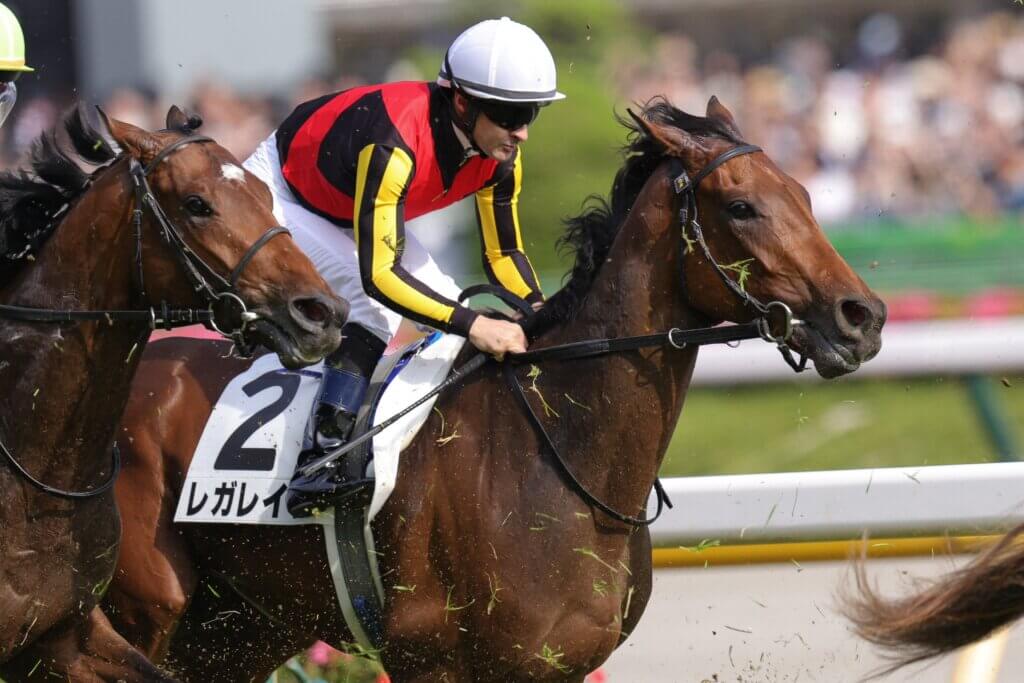 Regaleira competing in the G1 Tokyo Yushun of 2024
