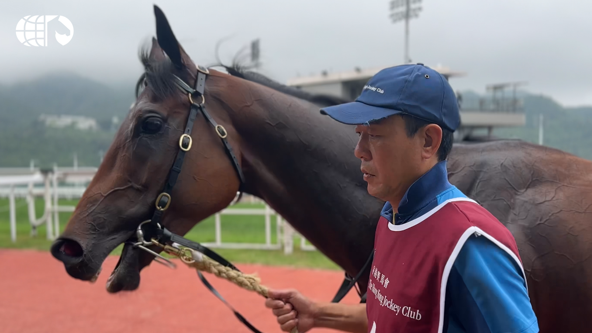 香港チャンピオンズデー: 各G1レースを現地から速報リポート