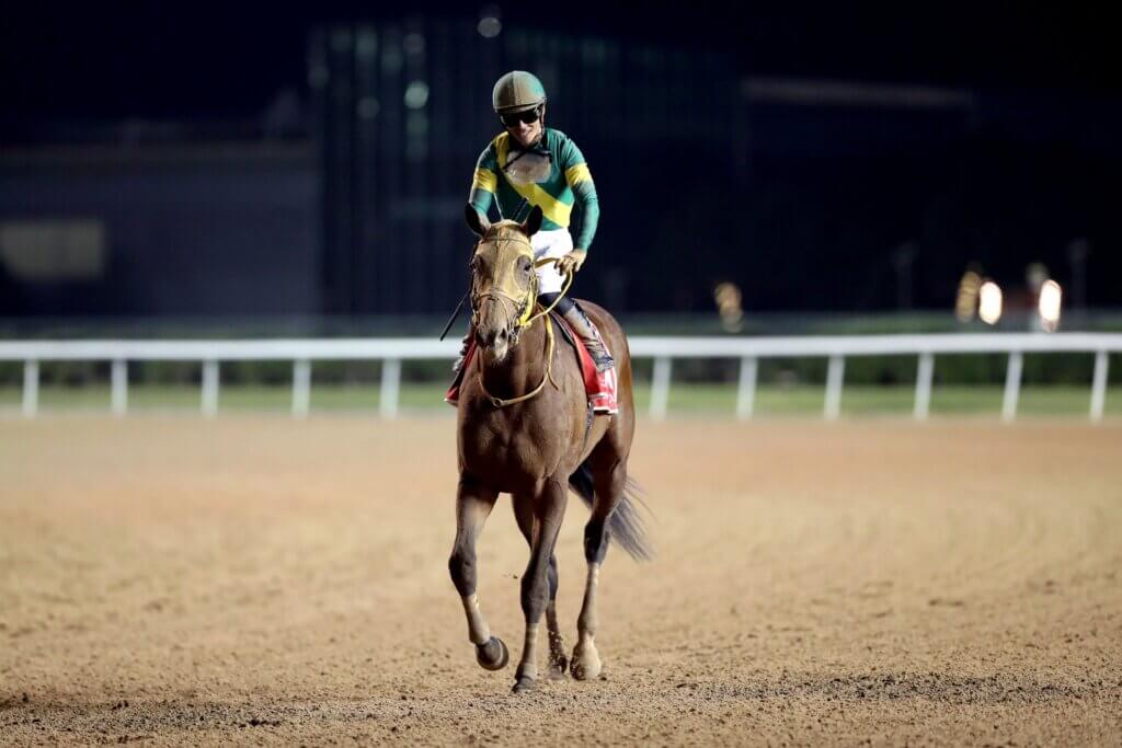 Yuga Kawada and Ushba Tesoro after winning the  Dubai World Cup