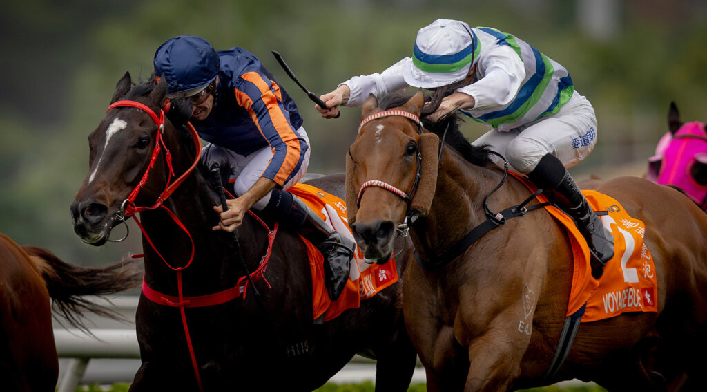 Red Lion beats Voyage Bubble in the Champions Mile