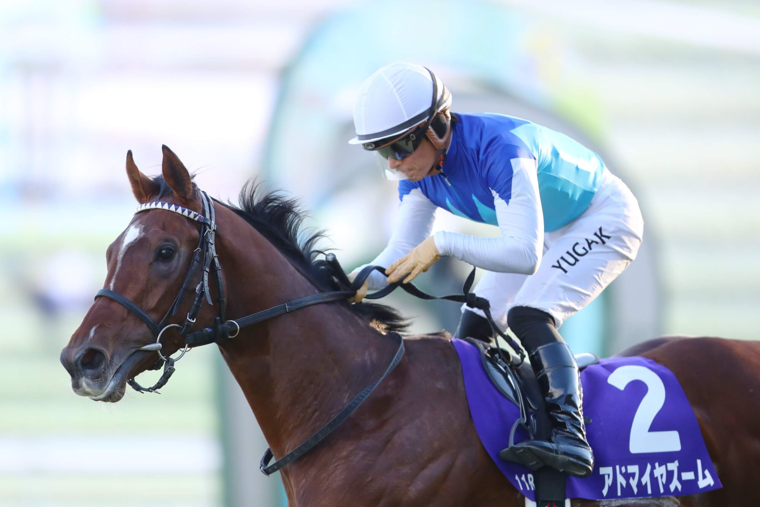 Admire Zoom The One To Beat In NHK Mile Cup