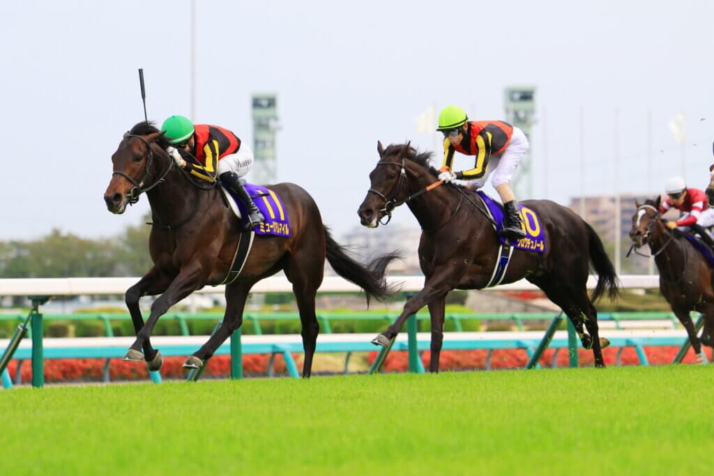 Museum Mile defeats Croix Du Nord in the G1 Satsuki Sho