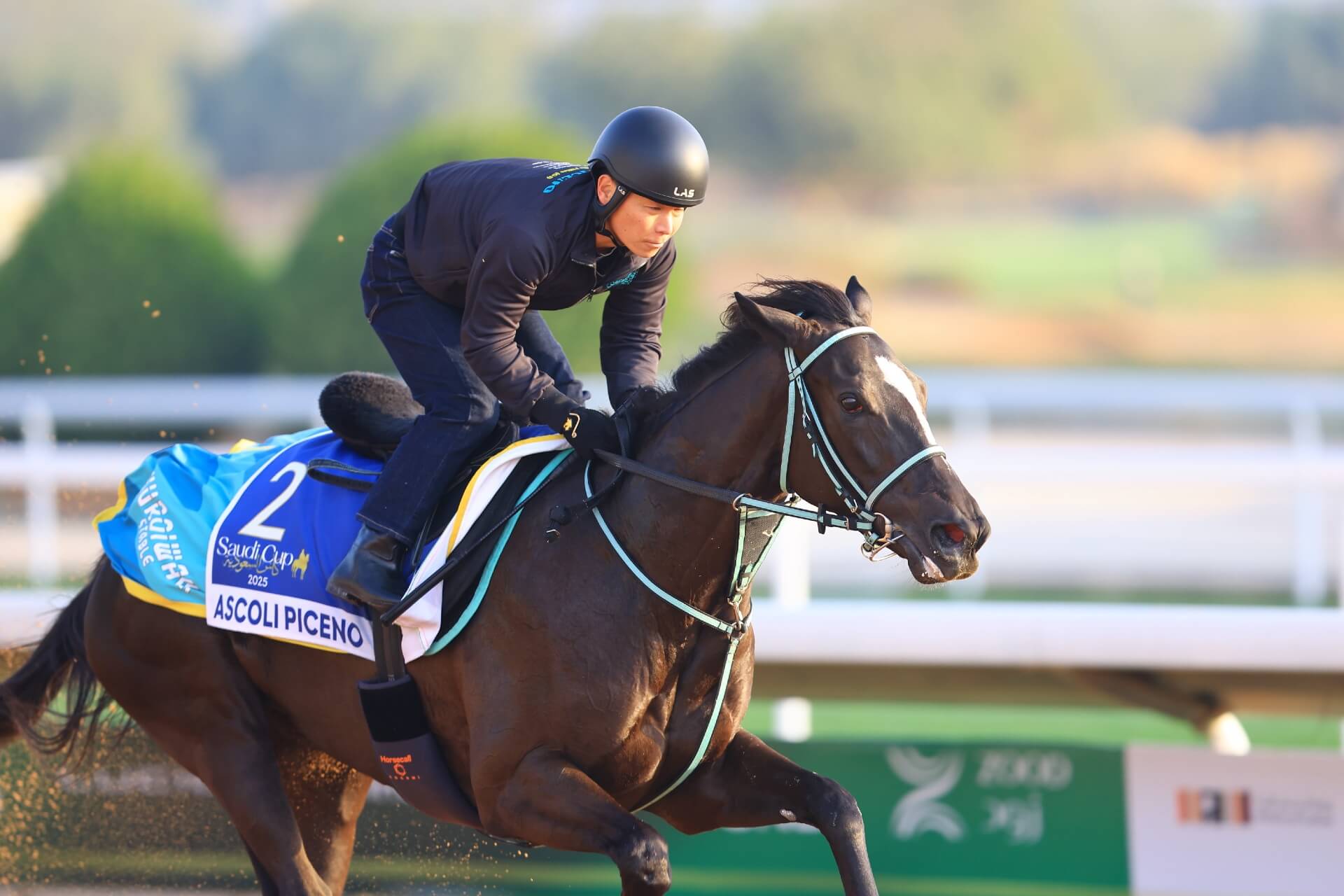 Ascoli Piceno gallops in Saudi Arabia