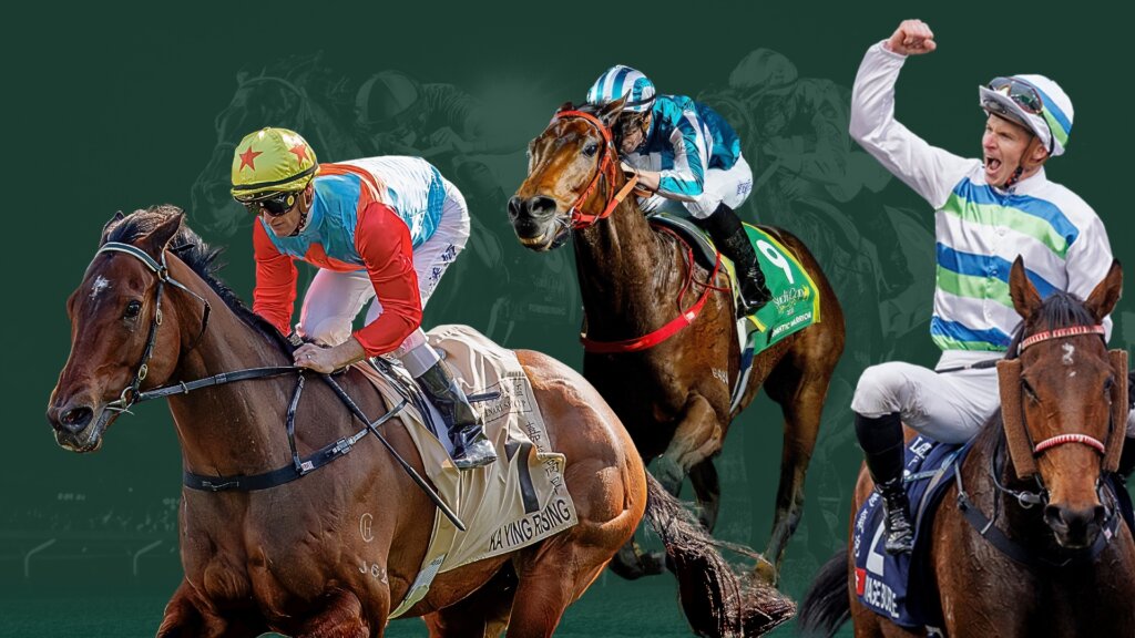 Hong Kong Horse of the Year debate