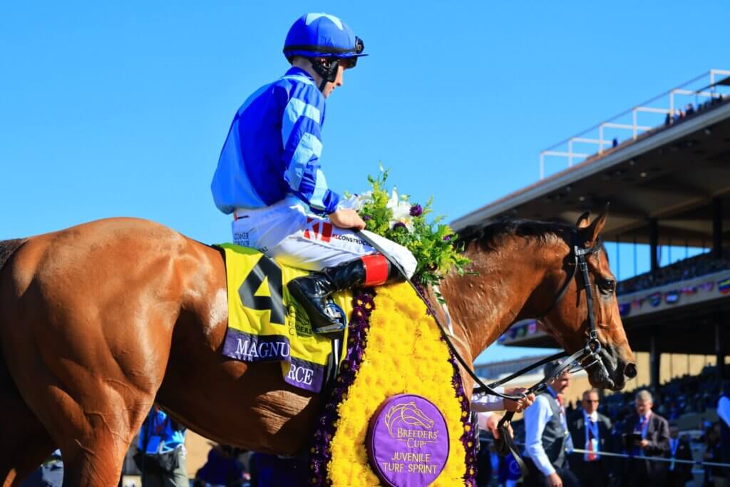 Magnum Force and Colin Keane wins the Breeders’ Cup Juvenile Turf Sprint at Del Mar