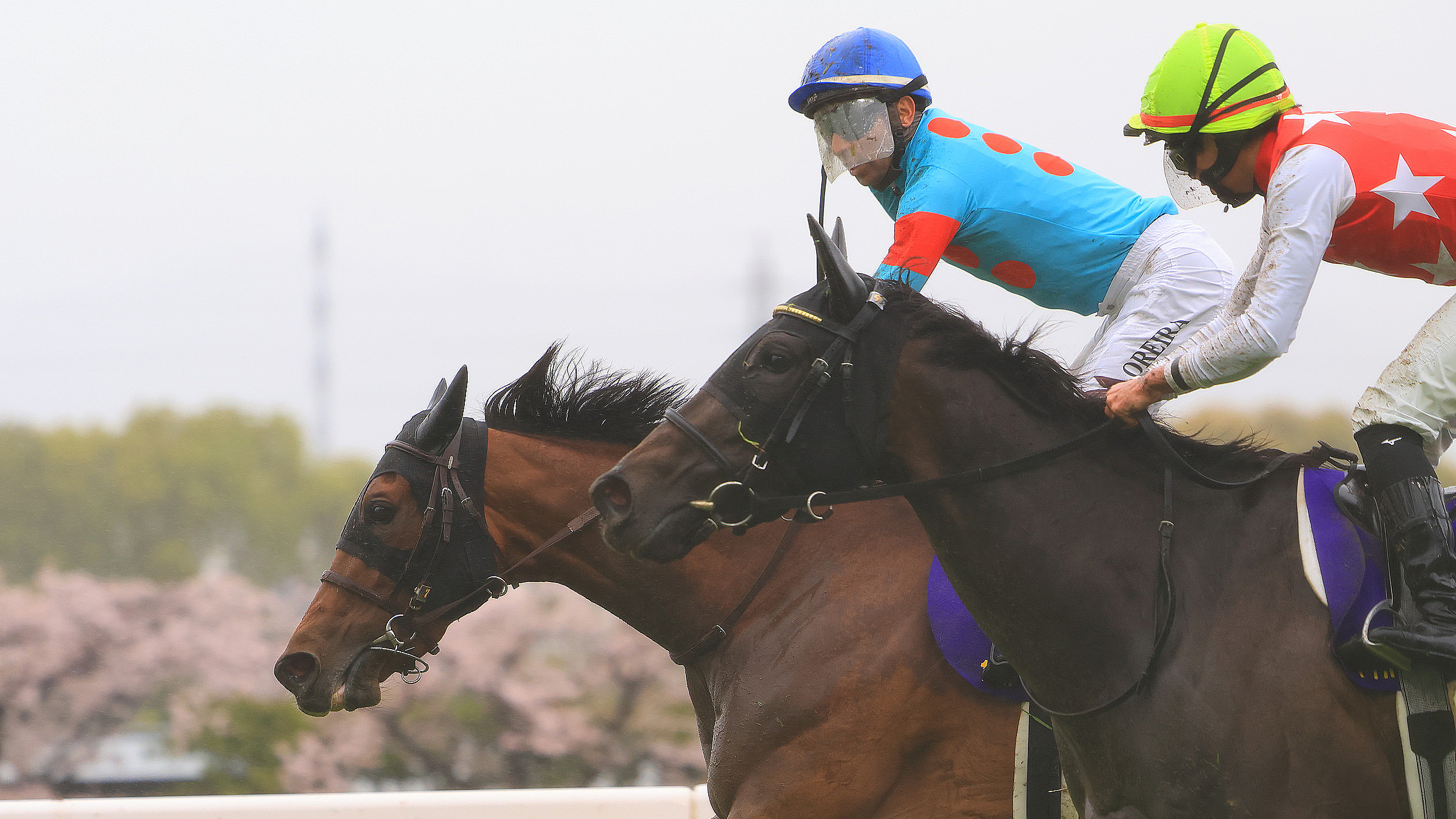 Embroidery and Arma Veloce fight out the Oka Sho.