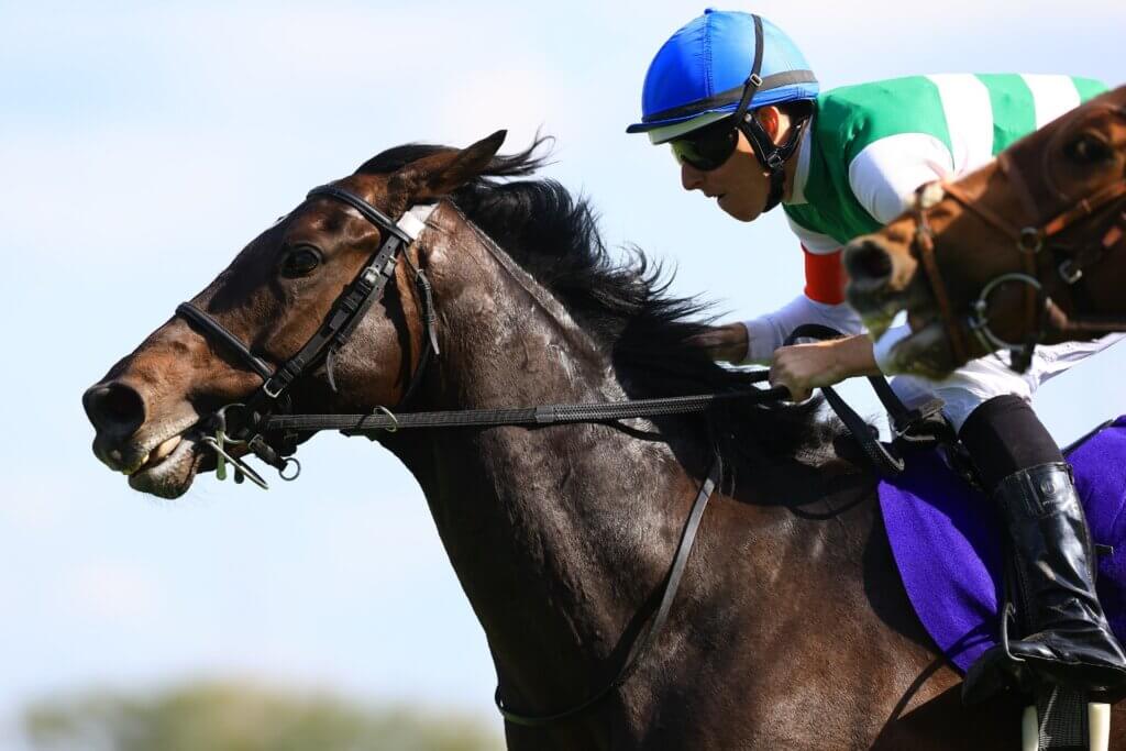 Redentor and Damian Lane win the G1 Tenno Sho (Spring) at Kyoto
