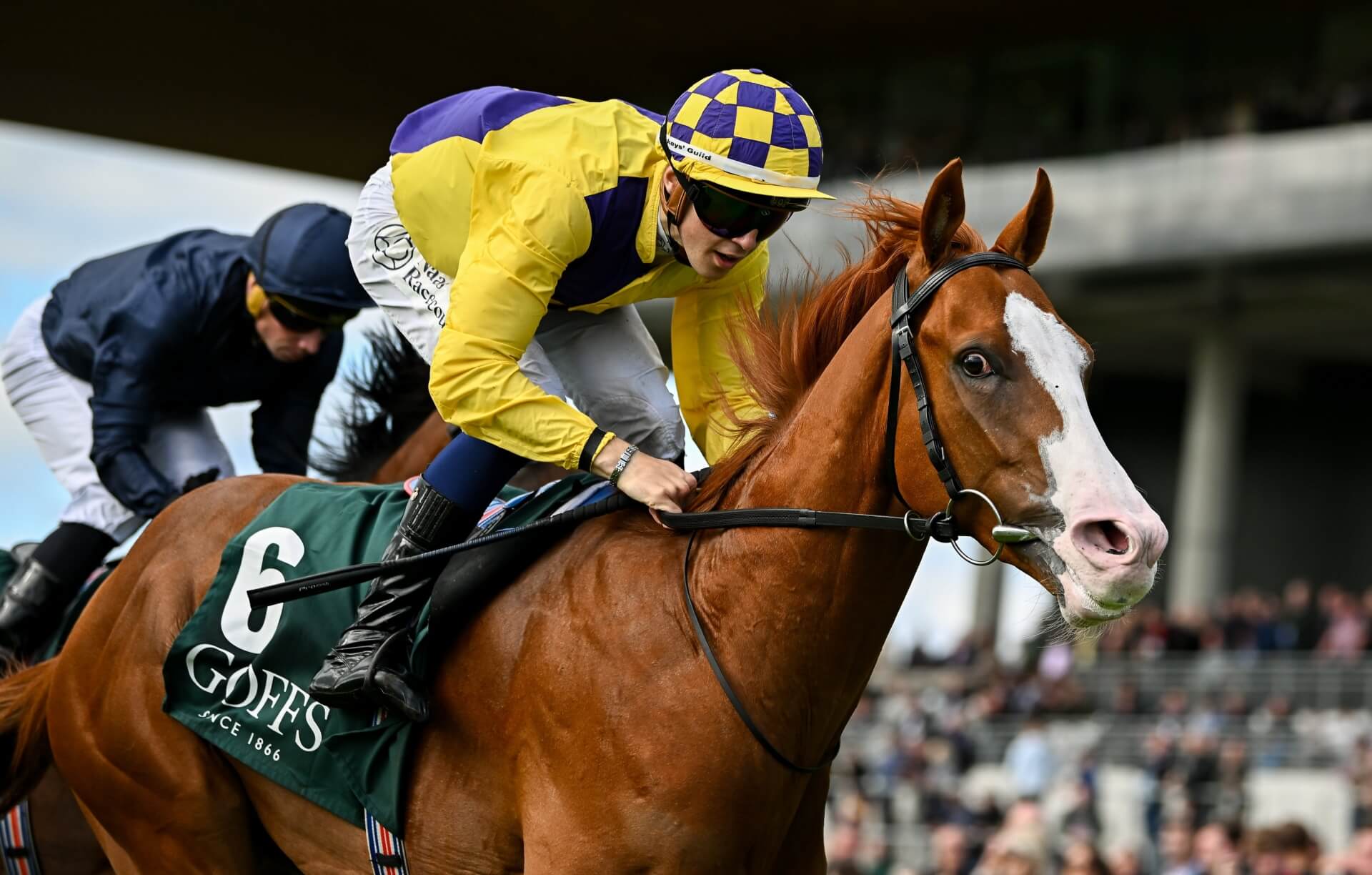 Scorthy Champ wins the G1 National Stakes for Dylan Browne McMonagle