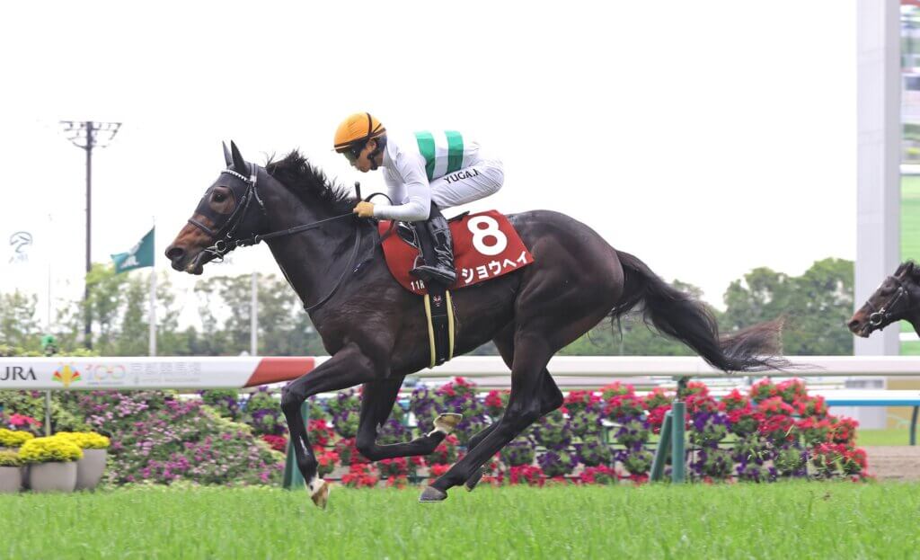 Shohei wins the G2 Kyoto Shimbun Hai