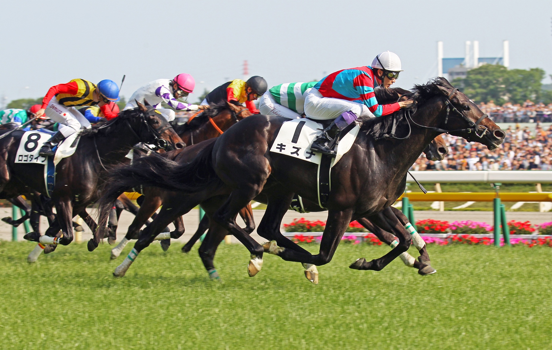 Yutaka Take and Kizuna win G1 Tokyo Yushun