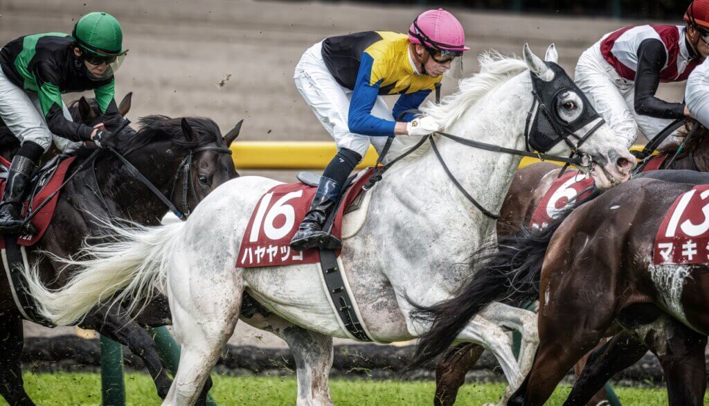 Jockey Mick Dee riding Hayayakko