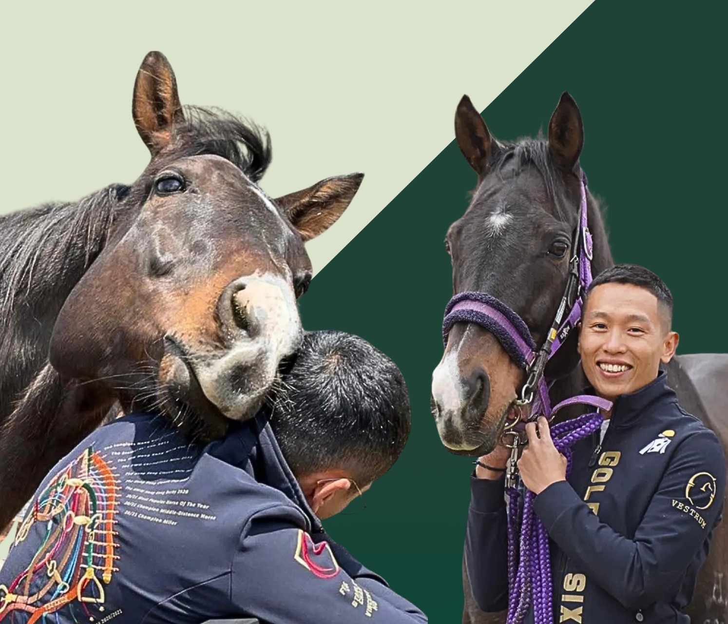 https://idolhorse.com/wp-content/uploads/2025/06/G6077.jpg