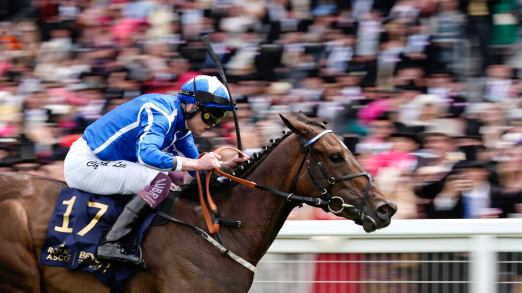 Venetian Sun winning the G3 Albany Stakes