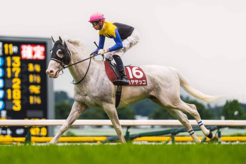 Jockey Mick Dee riding Hayayakko
