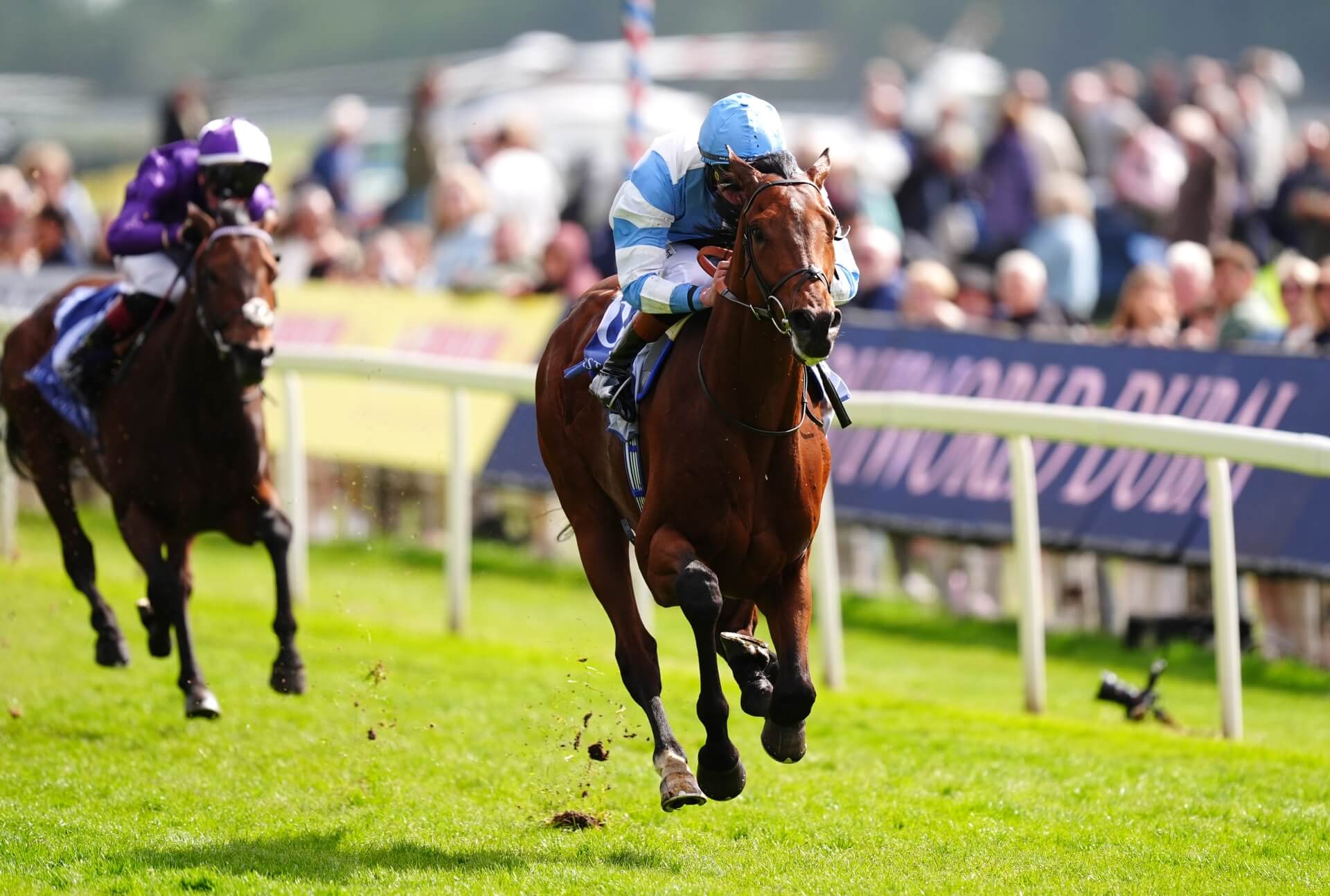 Pride Of Arras wins the Dante Stakes at York