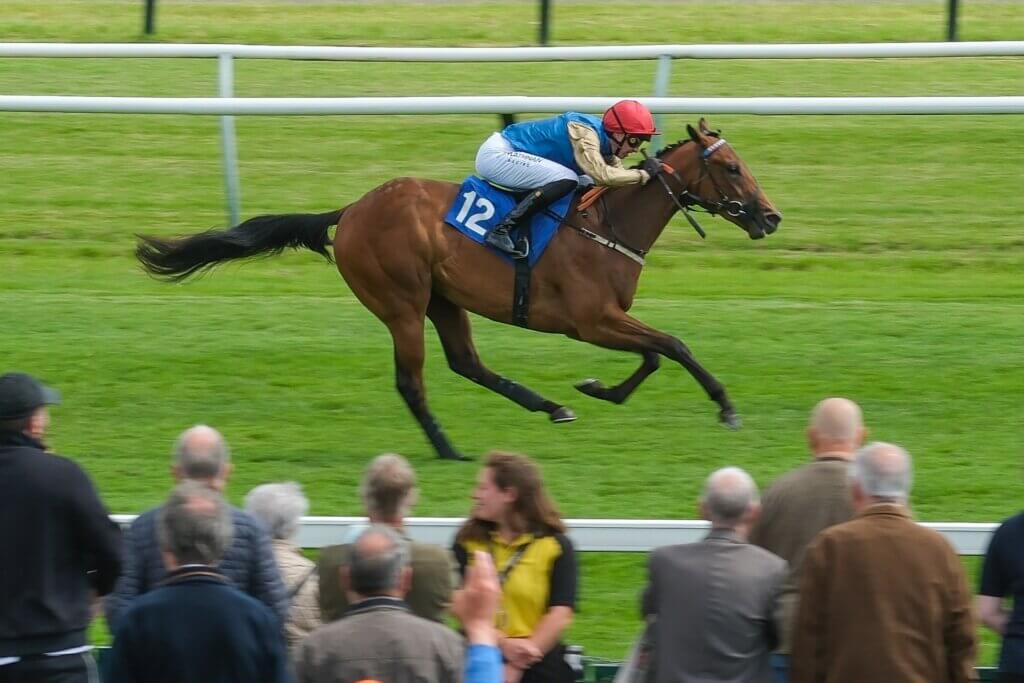 Zelaina breaks her maiden at Nottingham under James Doyle