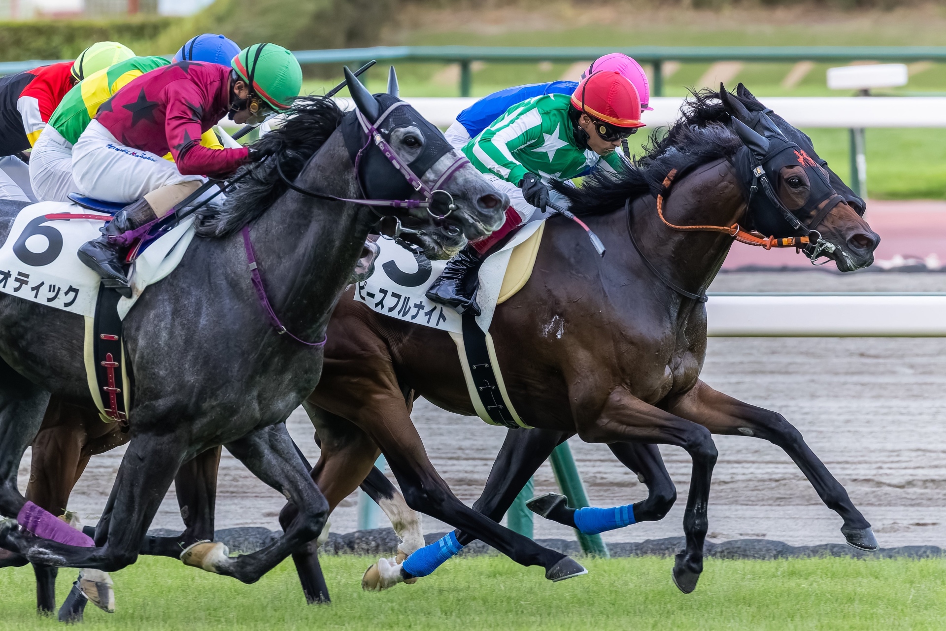 Alexis Badel wins at Chukyo on Peaceful Night