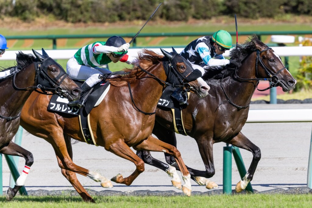 Alexis Badel wins at Chukyo on Mediterranean