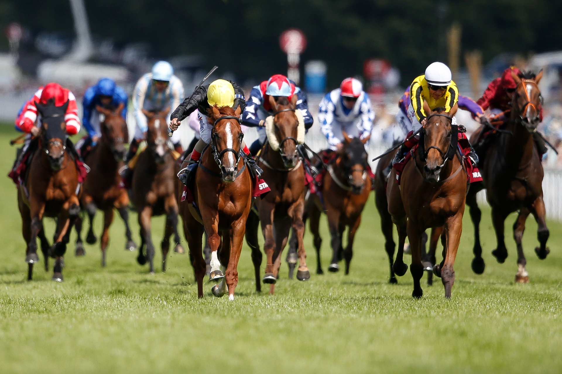 Stradivarius wins the 2017 Goodwood Cup