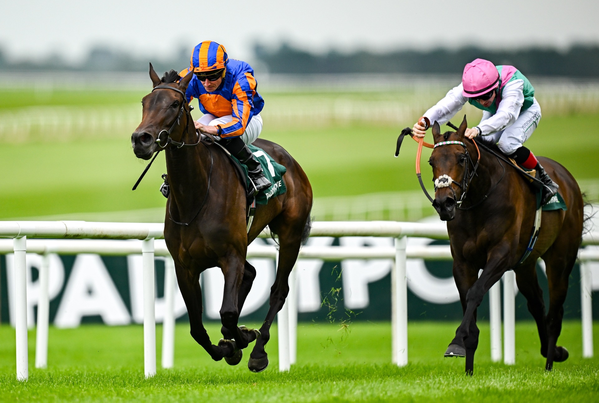 Whirl wins G1 Pretty Polly Stakes