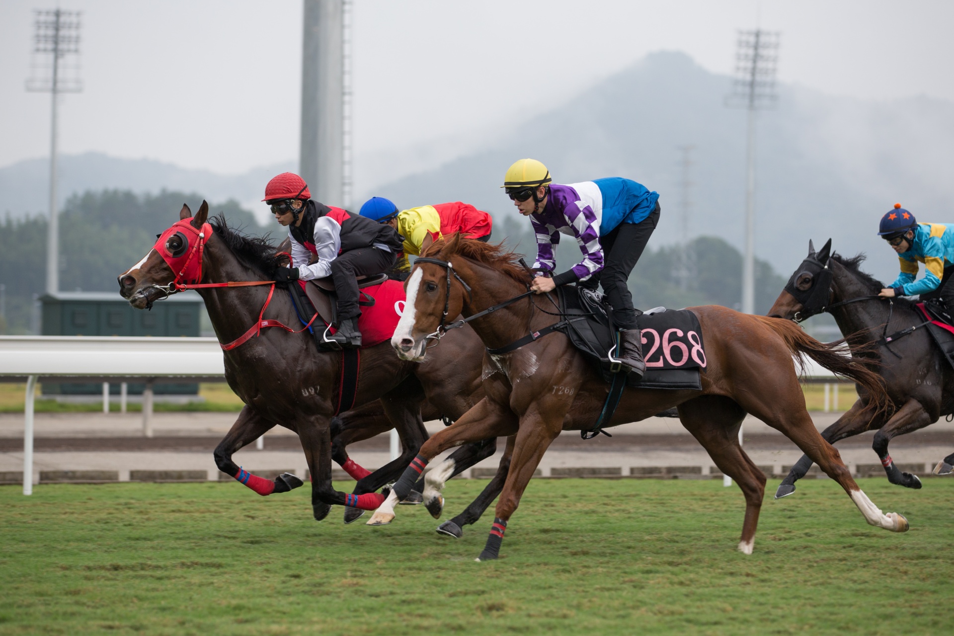 Workload Reduced For Hong Kong Jockeys But No Barrier Trial Pay