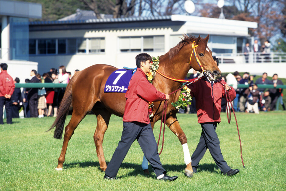 Grass Wonder retirement ceremony
