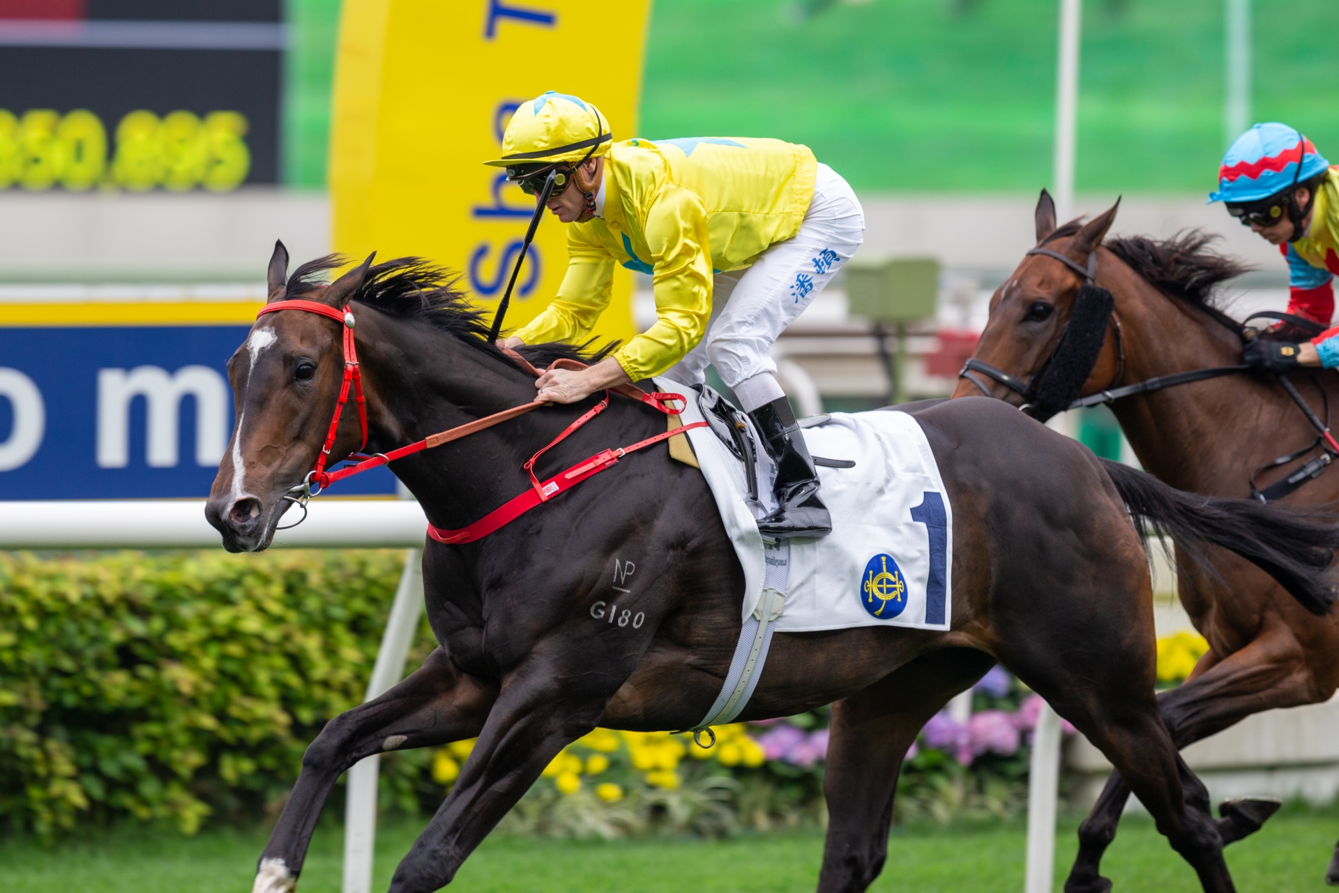 Lucky Sweynesse wins G2 Sprint Cup