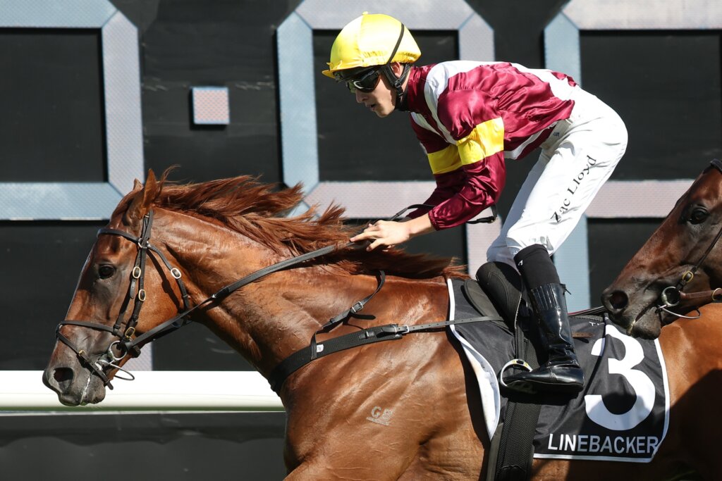 Linebacker and Zac Lloyd win the G1 Randwick Guineas
