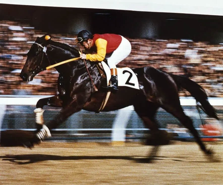 Maruzensky retirement ceremony at Tokyo Racecourse