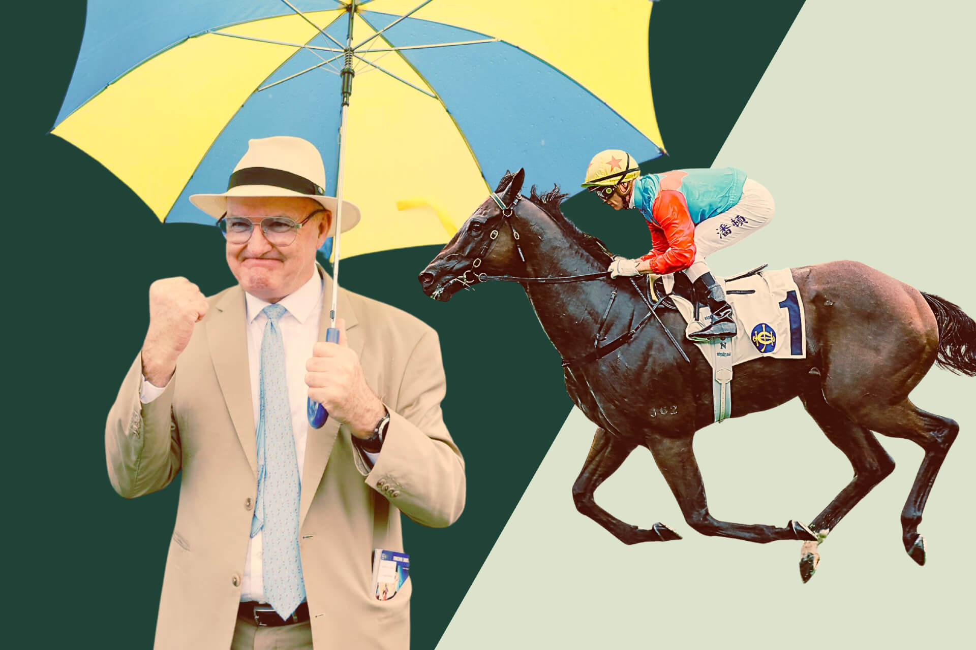 Ka Ying Rising wins Chief Executive's Cup Handicap