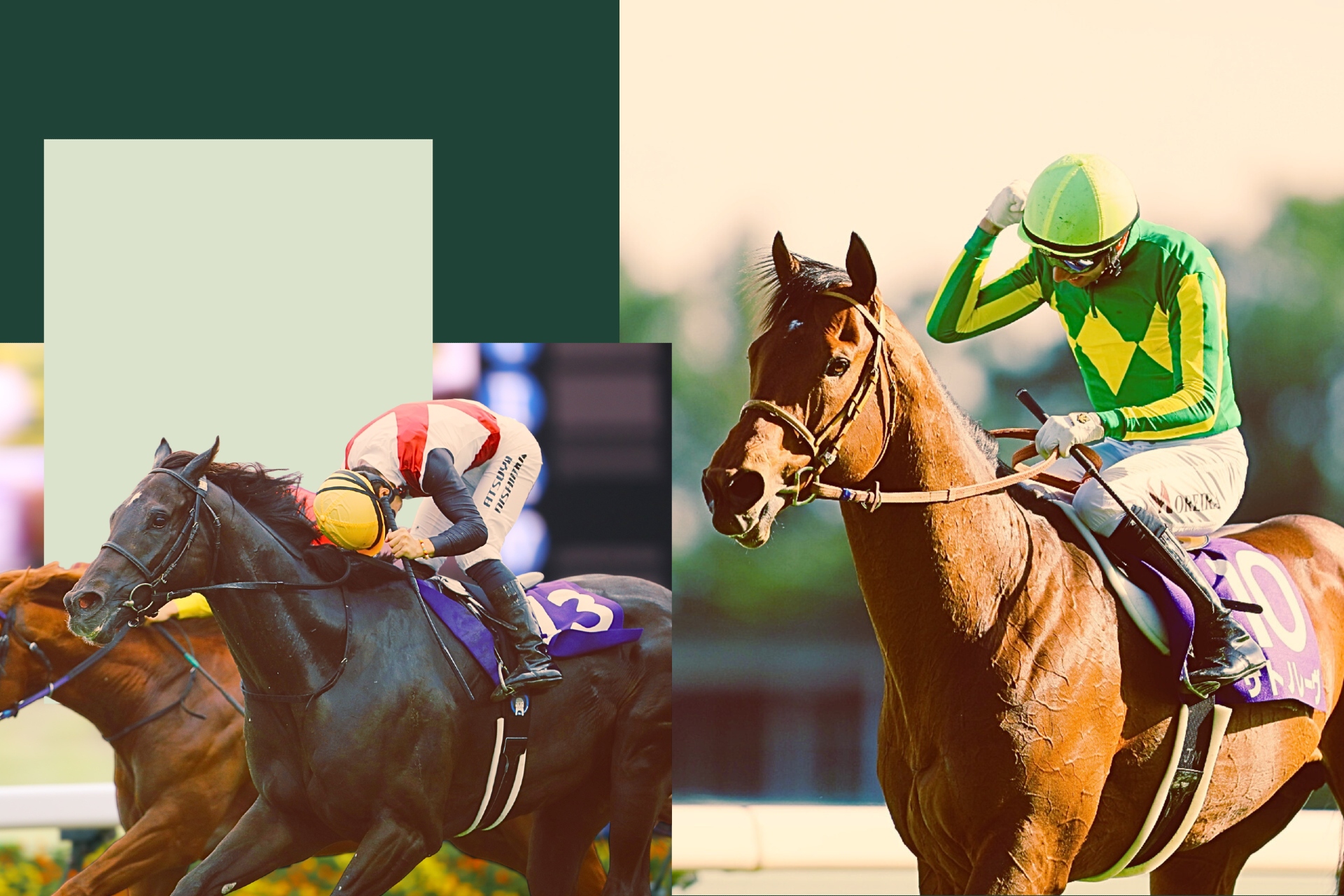 G1 Sprinters Stakes contenders Lugal and Satono Reve