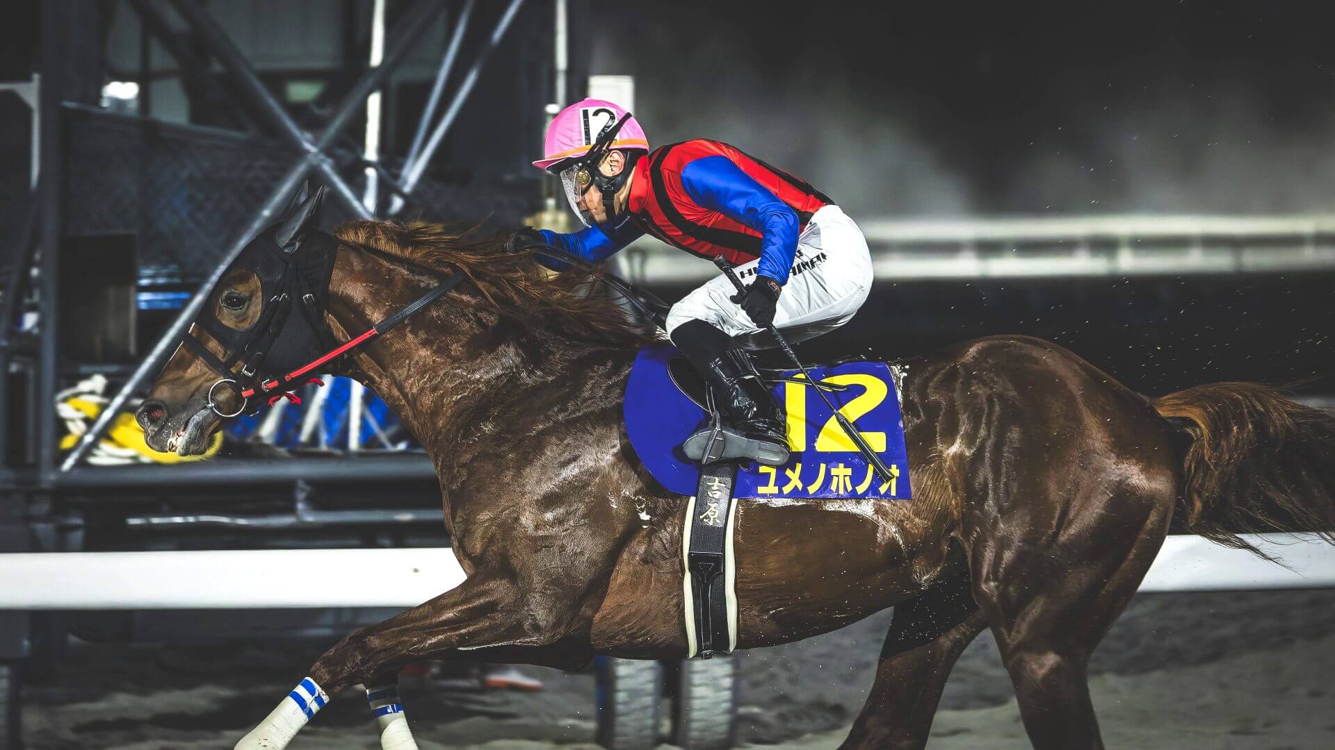 Kochi Triple Crown-winner Yumeno Honoo's growth in Korea