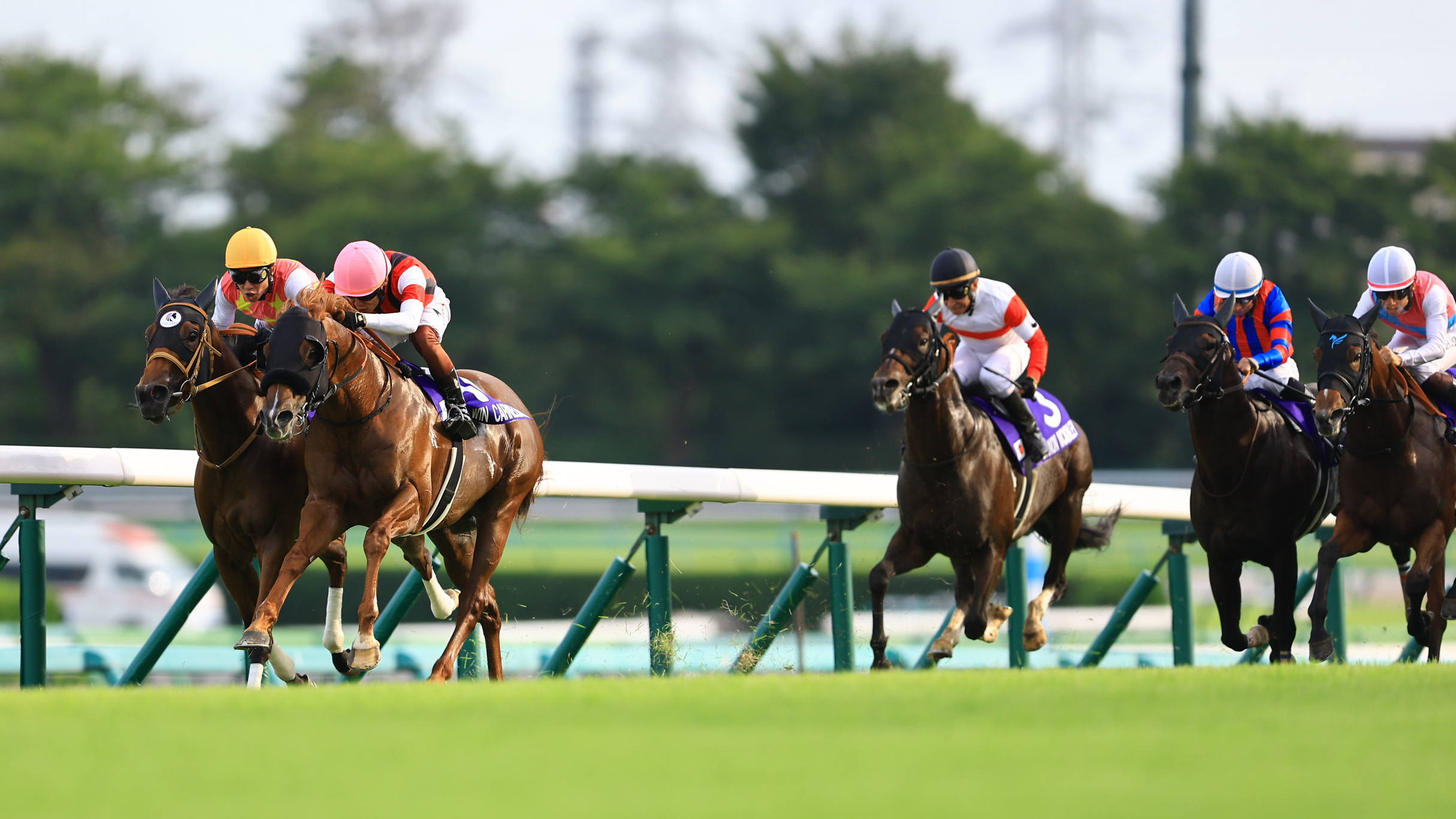 本当に長かった」ウインカーネリアンと三浦がついにG1初制覇