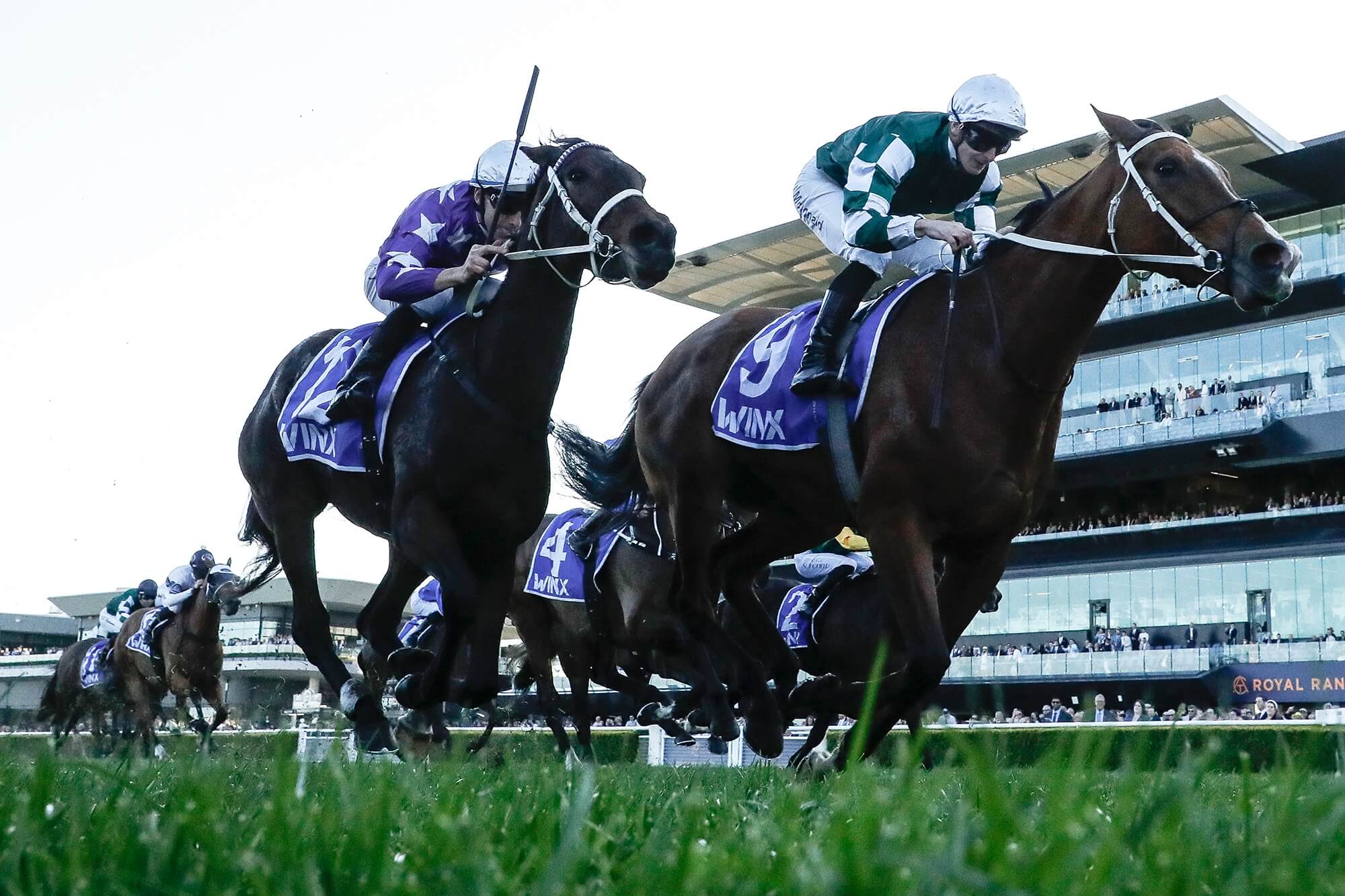 Via Sistina wins the G1 Winx Stakes