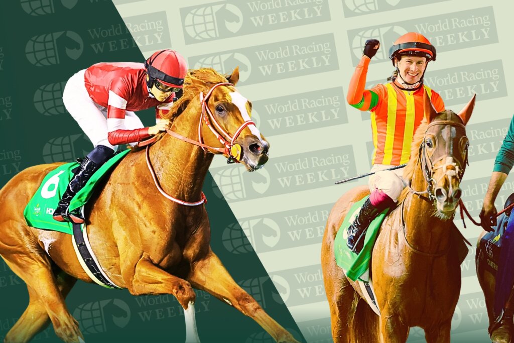 Shin Emperor and Byzantine Dream win at Riyadh