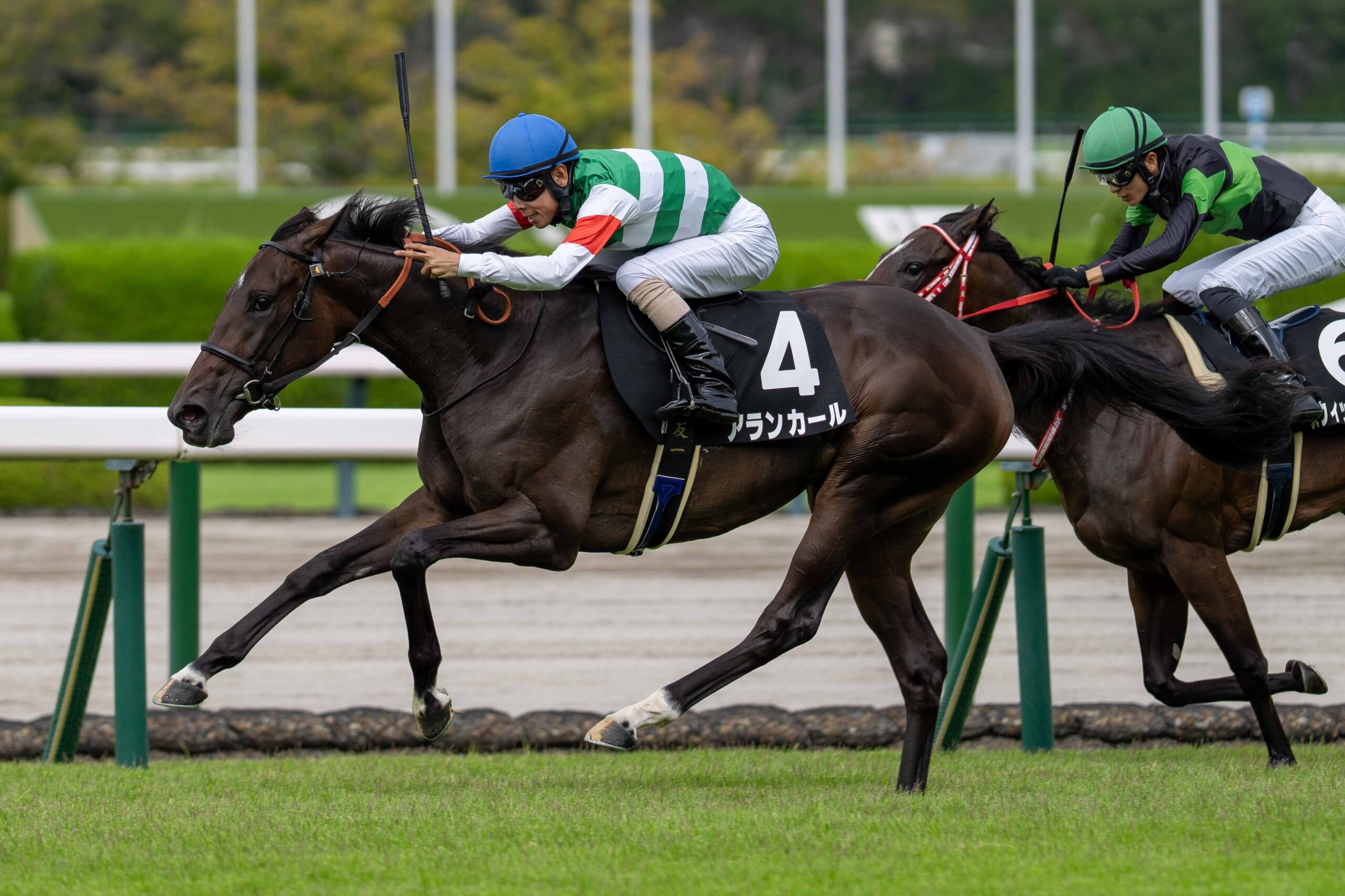 Alankar wins at Hanshin
