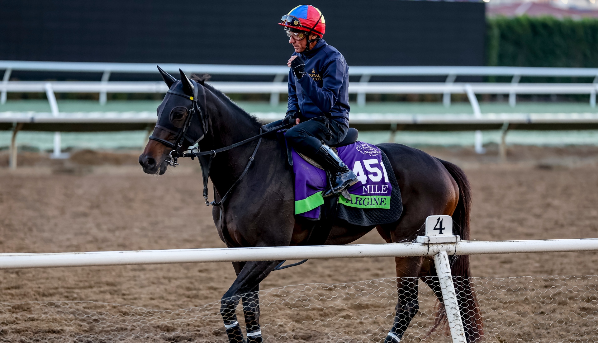 Argine and Frankie Dettori prepare for the G1 Breeders' Cup Mile