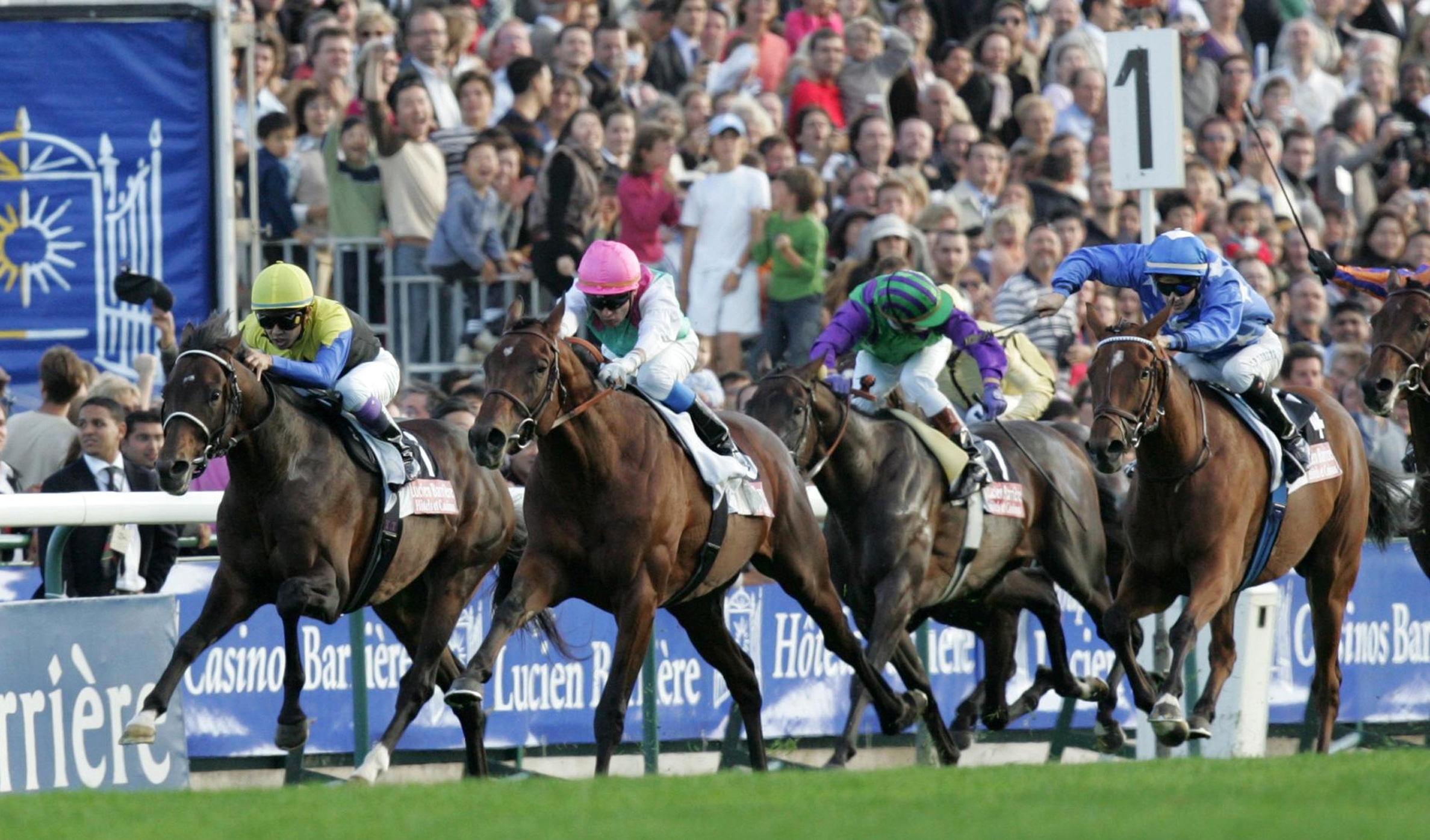 Deep Impact finishes third in the 2006 Arc