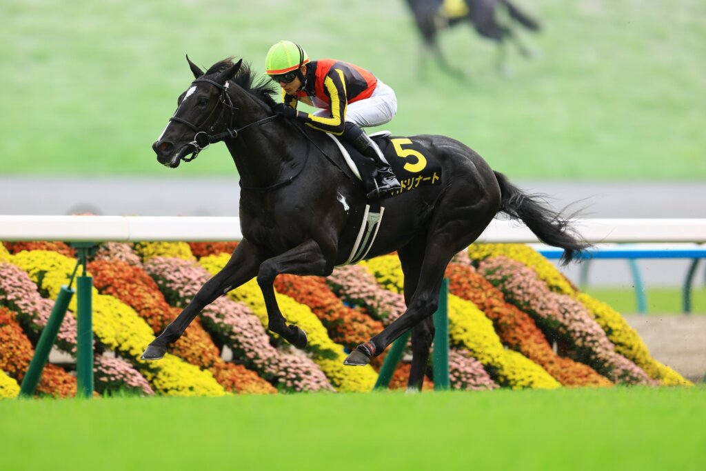 Badrinath wins at Kyoto