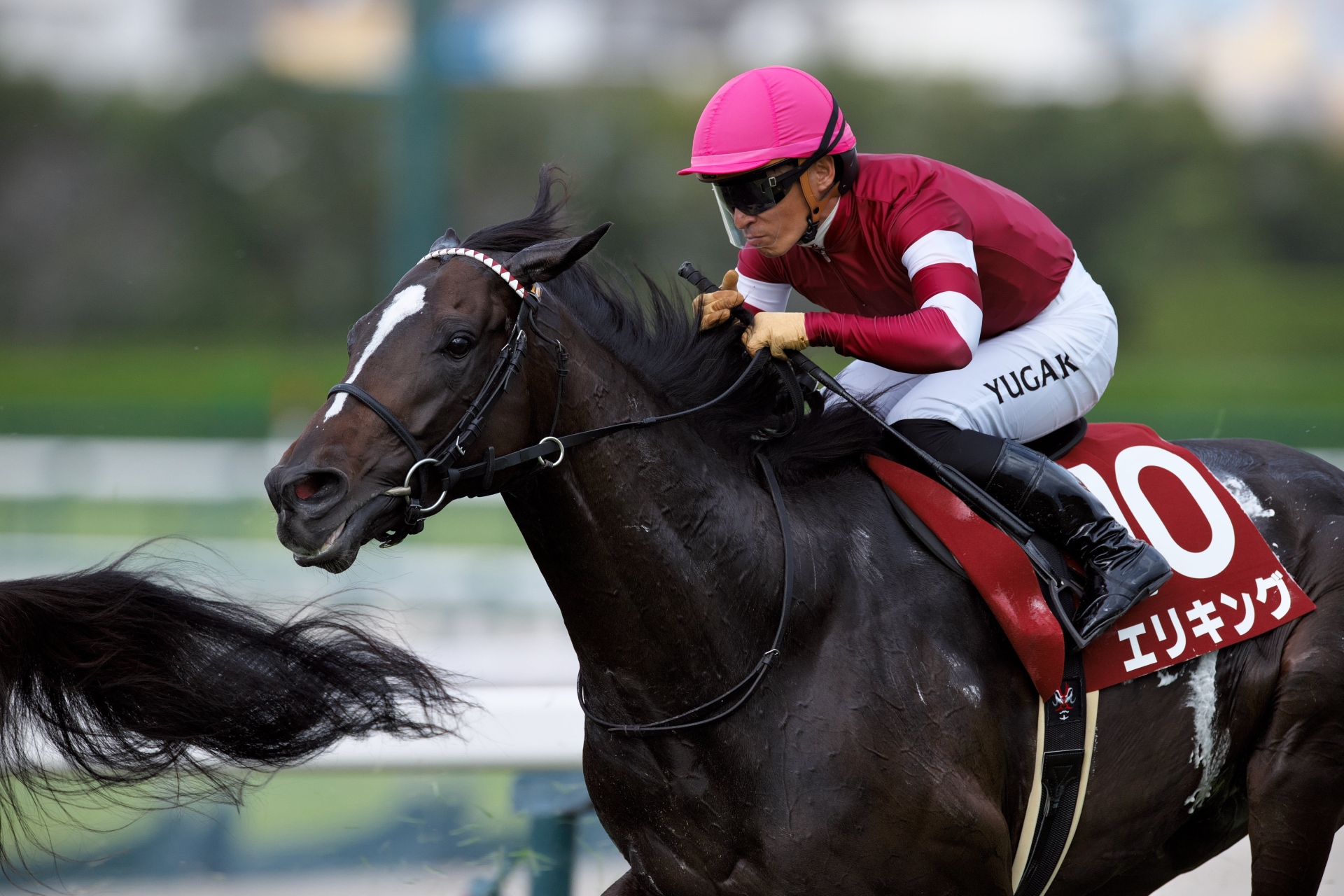 Eri King wins the G2 Kobe Shimbun Hai