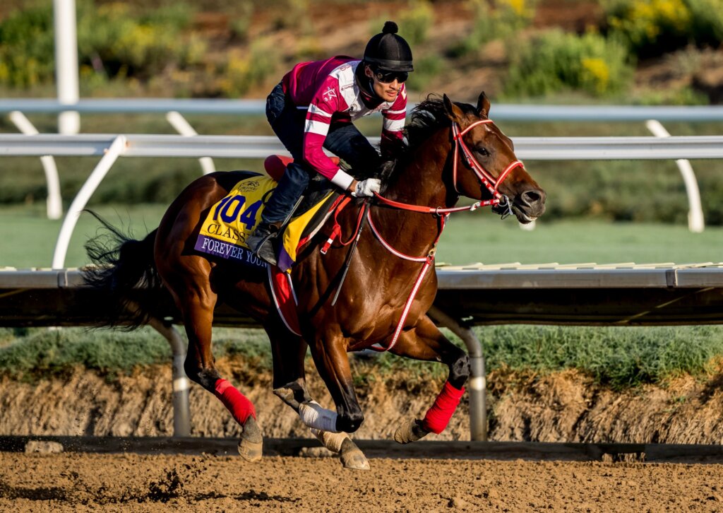 Forever Young works at Del Mar