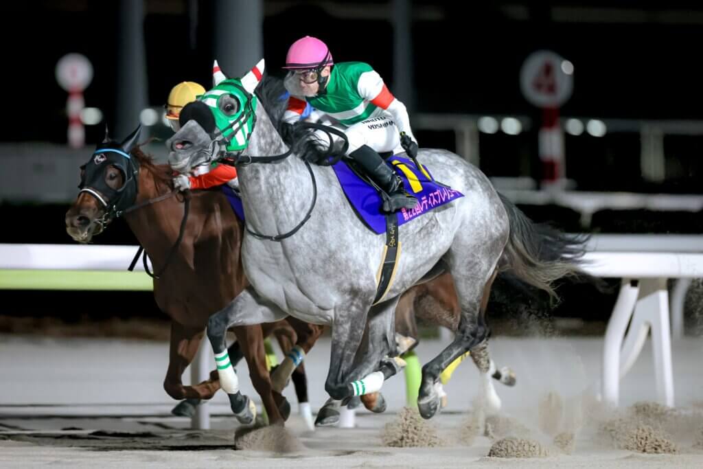 Fee Blanche finishes fourth in the Ladies' Prelude at Oi