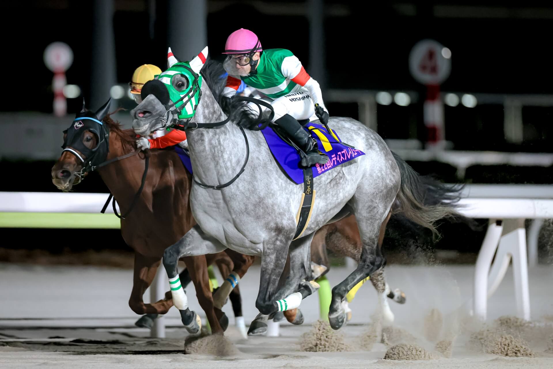 Fee Blanche finishes fourth in the Ladies' Prelude at Oi